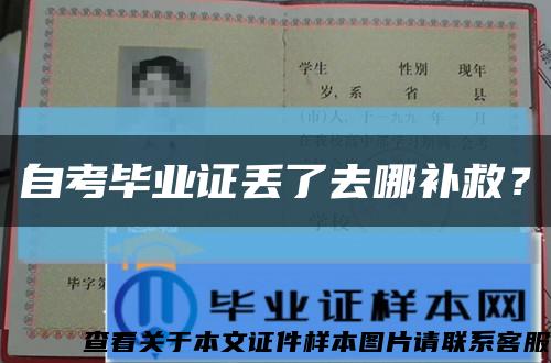 自考毕业证丢了去哪补救？缩略图