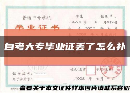 自考大专毕业证丢了怎么补缩略图