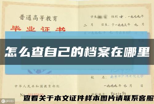 怎么查自己的档案在哪里缩略图