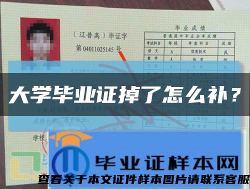 大学毕业证掉了怎么补？缩略图