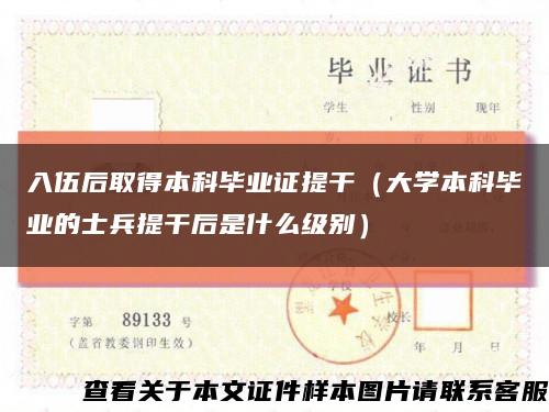 入伍后取得本科毕业证提干（大学本科毕业的士兵提干后是什么级别）缩略图