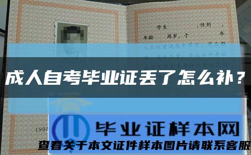 成人自考毕业证丢了怎么补？缩略图