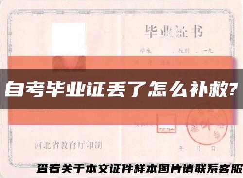 自考毕业证丢了怎么补救?缩略图