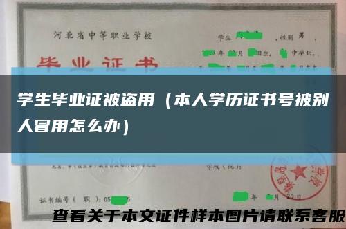 学生毕业证被盗用（本人学历证书号被别人冒用怎么办）缩略图