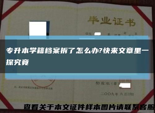 专升本学籍档案拆了怎么办?快来文章里一探究竟缩略图