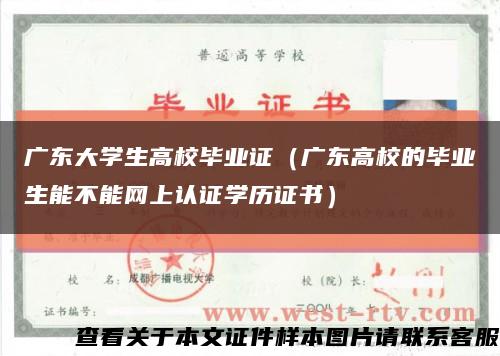 广东大学生高校毕业证（广东高校的毕业生能不能网上认证学历证书）缩略图