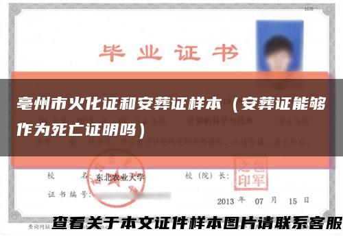 亳州市火化证和安葬证样本（安葬证能够作为死亡证明吗）缩略图