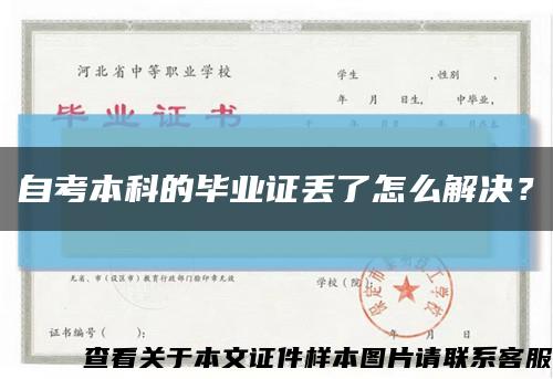 自考本科的毕业证丢了怎么解决？缩略图