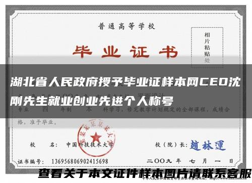 湖北省人民政府授予毕业证样本网CEO沈刚先生就业创业先进个人称号缩略图