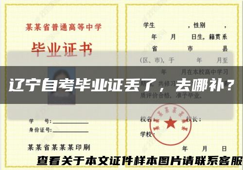 辽宁自考毕业证丢了，去哪补？缩略图