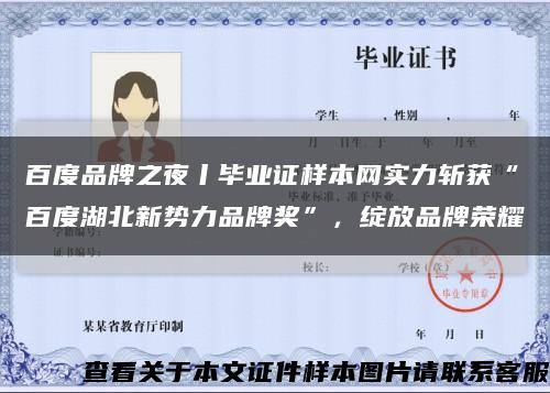 百度品牌之夜丨毕业证样本网实力斩获“百度湖北新势力品牌奖”，绽放品牌荣耀缩略图