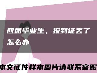 应届毕业生，报到证丢了怎么办缩略图
