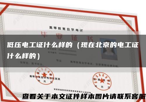 低压电工证什么样的（现在北京的电工证什么样的）缩略图