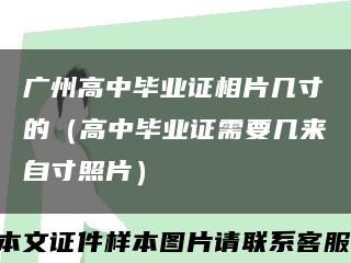 广州高中毕业证相片几寸的（高中毕业证需要几来自寸照片）缩略图