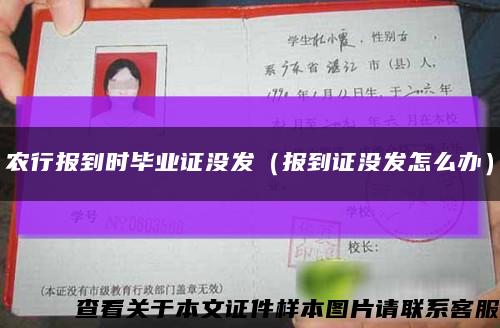 农行报到时毕业证没发（报到证没发怎么办）缩略图