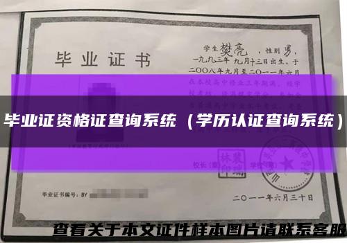 毕业证资格证查询系统（学历认证查询系统）缩略图