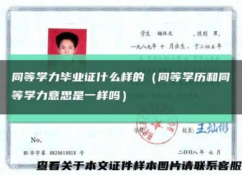 同等学力毕业证什么样的（同等学历和同等学力意思是一样吗）缩略图