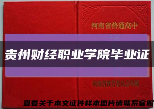 贵州财经职业学院毕业证缩略图