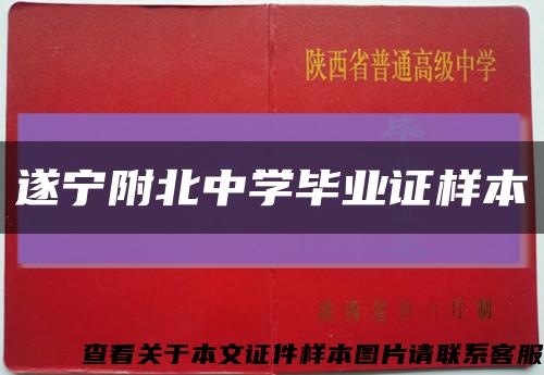 遂宁附北中学毕业证样本缩略图
