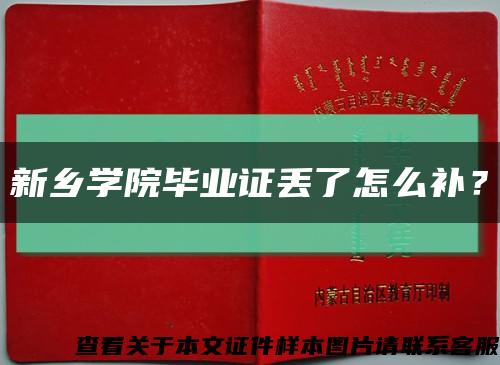 新乡学院毕业证丢了怎么补？缩略图