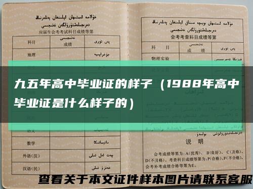 九五年高中毕业证的样子（1988年高中毕业证是什么样子的）缩略图