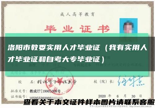 洛阳市教委实用人才毕业证（我有实用人才毕业证和自考大专毕业证）缩略图