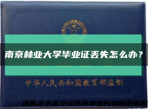 南京林业大学毕业证丢失怎么办？缩略图