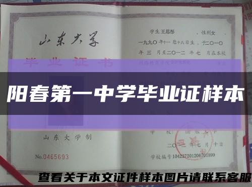 阳春第一中学毕业证样本缩略图