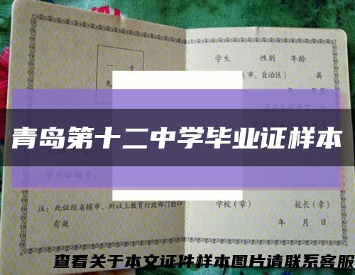 青岛第十二中学毕业证样本缩略图