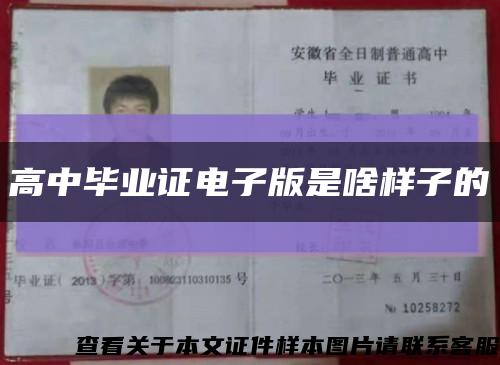 高中毕业证电子版是啥样子的缩略图