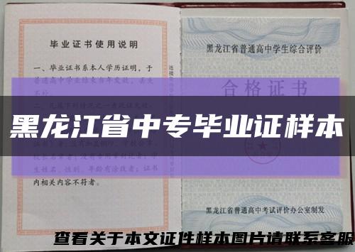 黑龙江省中专毕业证样本缩略图