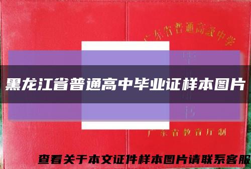 黑龙江省普通高中毕业证样本图片缩略图