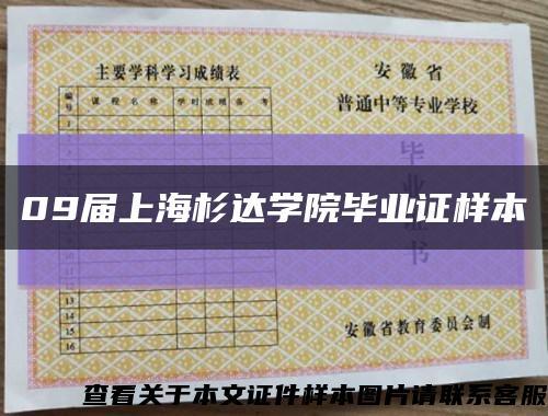 09届上海杉达学院毕业证样本缩略图