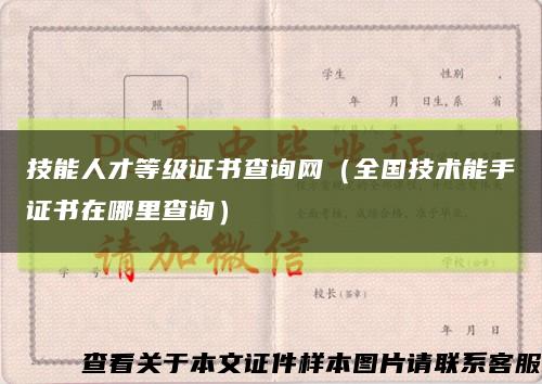 技能人才等级证书查询网（全国技术能手证书在哪里查询）缩略图