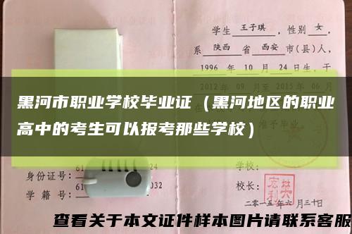 黑河市职业学校毕业证（黑河地区的职业高中的考生可以报考那些学校）缩略图