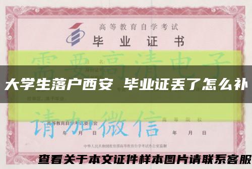 大学生落户西安 毕业证丢了怎么补缩略图