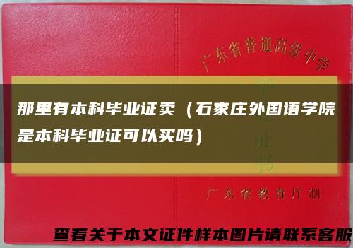 那里有本科毕业证卖（石家庄外国语学院是本科毕业证可以买吗）缩略图