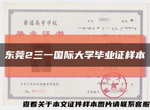 东莞2三一国际大学毕业证样本缩略图
