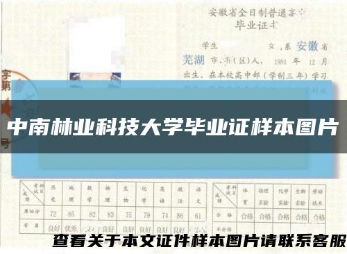 中南林业科技大学毕业证样本图片缩略图