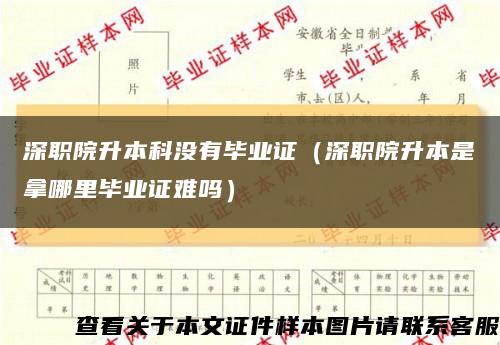 深职院升本科没有毕业证（深职院升本是拿哪里毕业证难吗）缩略图