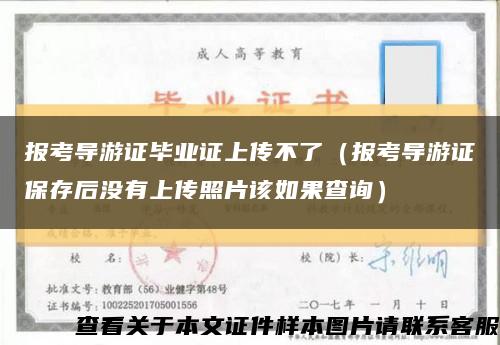 报考导游证毕业证上传不了（报考导游证保存后没有上传照片该如果查询）缩略图