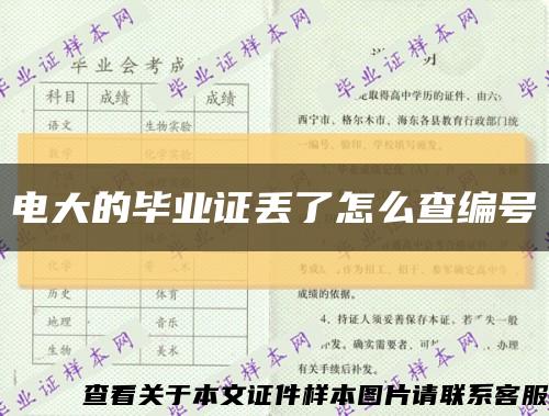 电大的毕业证丢了怎么查编号缩略图