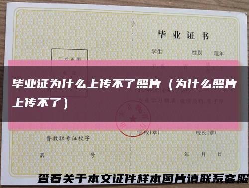毕业证为什么上传不了照片（为什么照片上传不了）缩略图