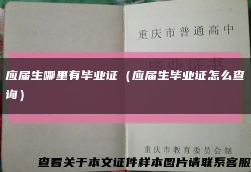 应届生哪里有毕业证（应届生毕业证怎么查询）缩略图