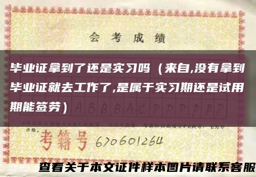 毕业证拿到了还是实习吗（来自,没有拿到毕业证就去工作了,是属于实习期还是试用期能签劳）缩略图