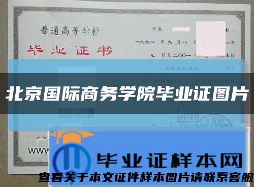 北京国际商务学院毕业证图片缩略图