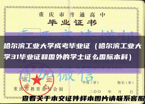 哈尔滨工业大学成考毕业证（哈尔滨工业大学31毕业证和国外的学士证么国际本科）缩略图