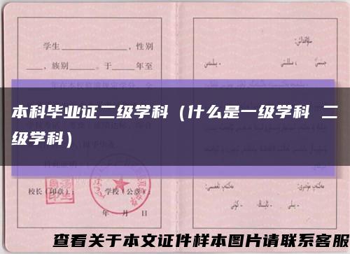 本科毕业证二级学科（什么是一级学科 二级学科）缩略图
