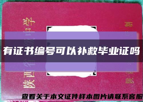有证书编号可以补救毕业证吗缩略图