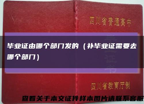 毕业证由哪个部门发的（补毕业证需要去哪个部门）缩略图